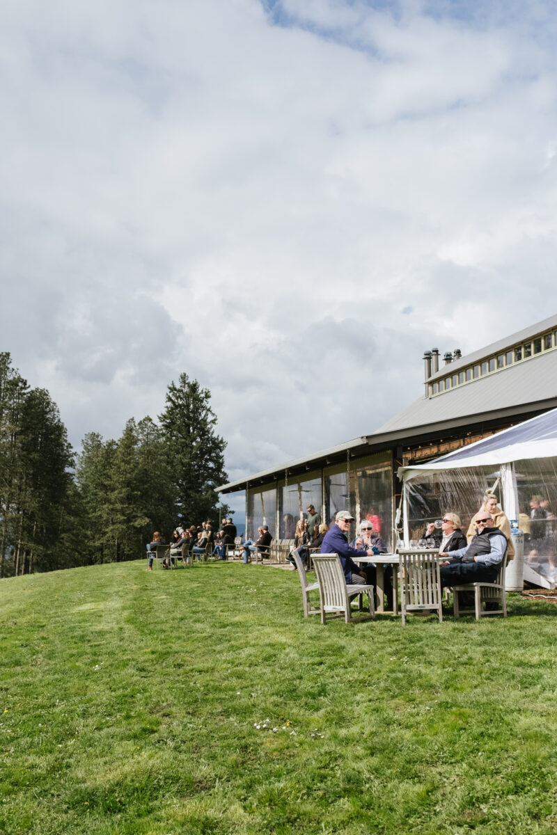 Soter (Mineral Springs Ranch) View + Vine