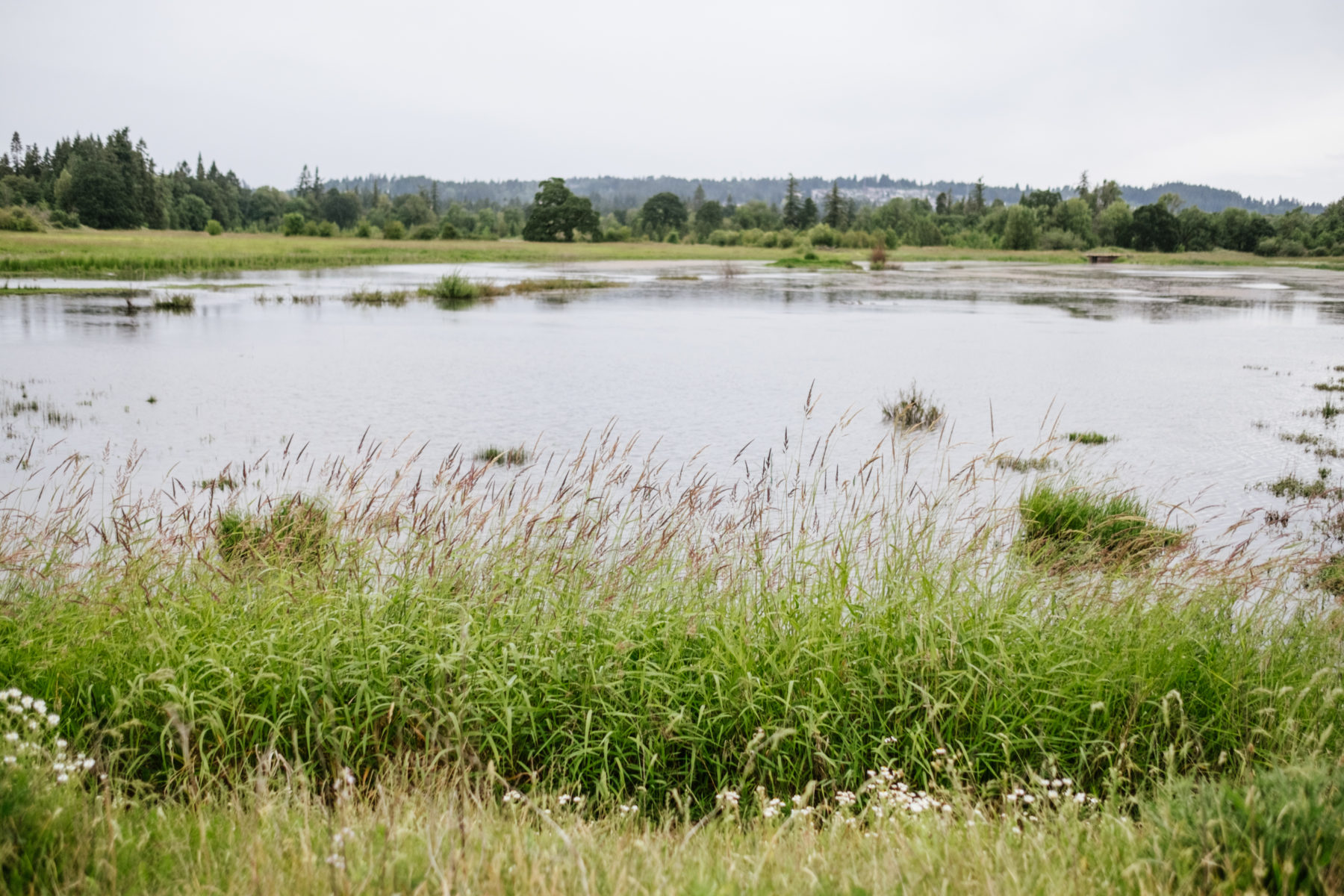 Tualatin River National Wildlife Refuge View + Vine