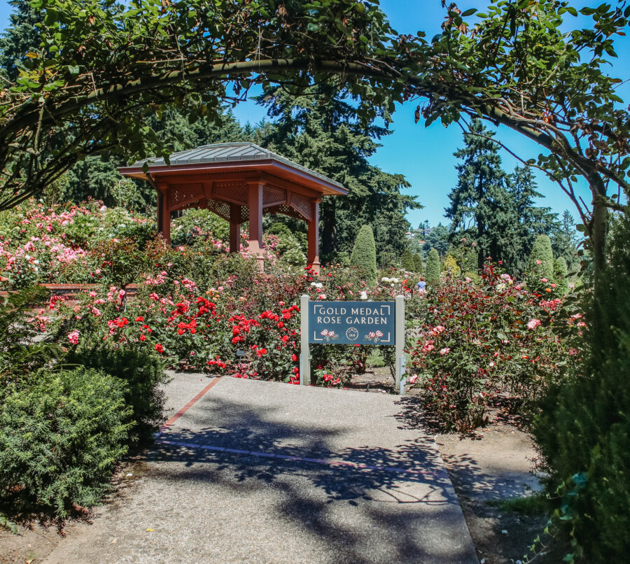 Portland Rose Garden