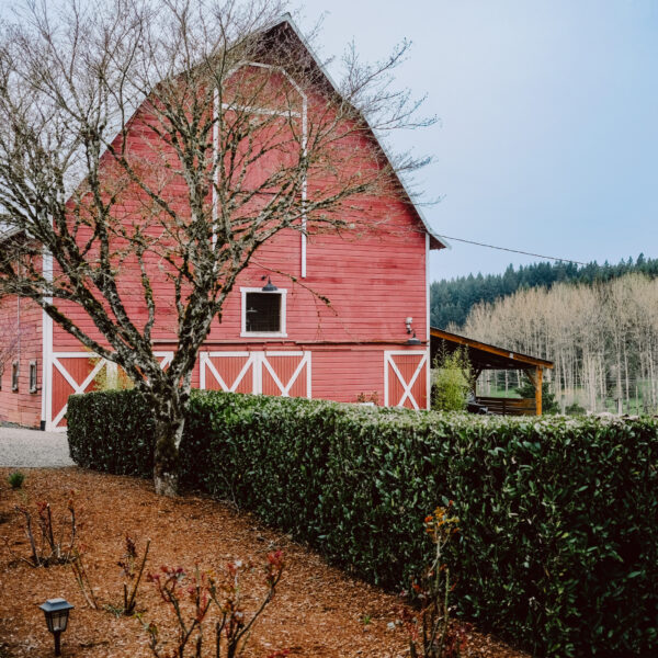 Dominio IV winery in the Willamette Valley