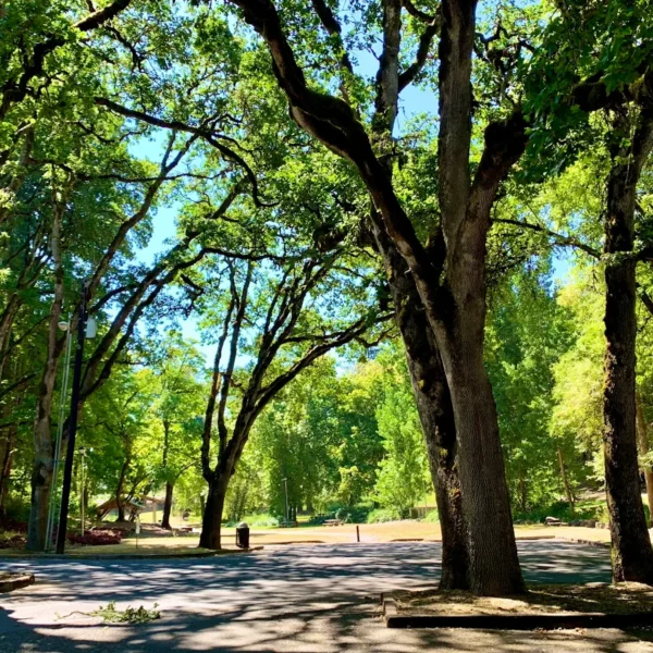McMinnville City Park