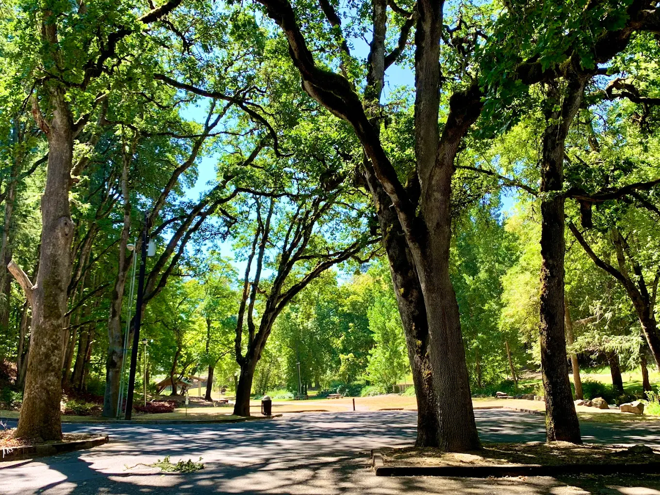 McMinnville City Park