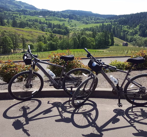Wine de Roads bike wine tours